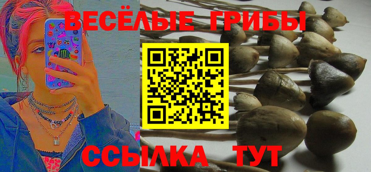Галлюциногенные грибы прущие грибы Десногорск