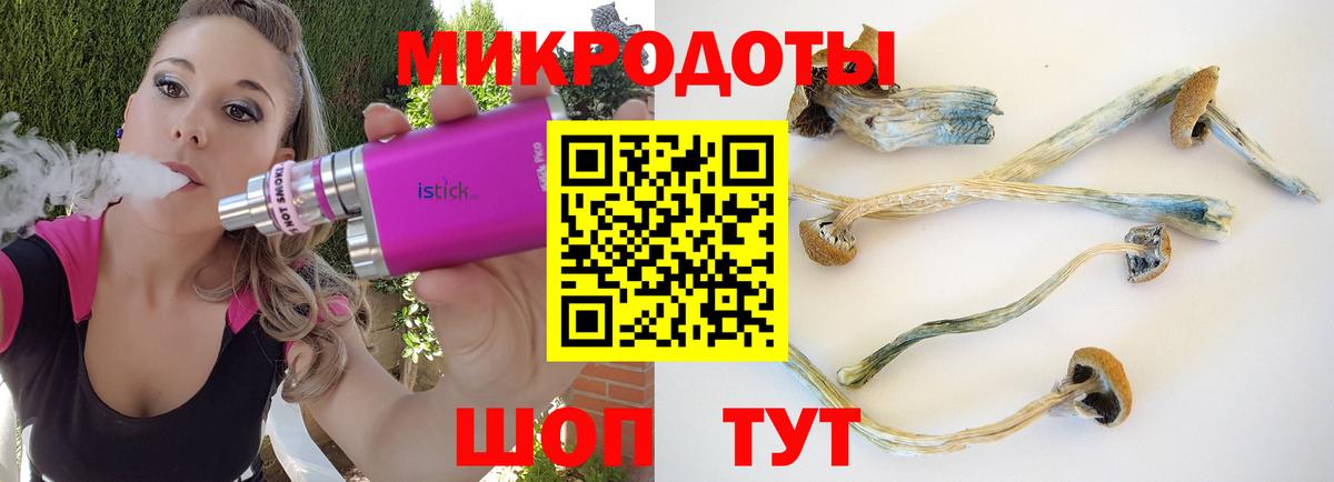 Псилоцибиновые грибы Cubensis  Вход с VPN  Десногорск  магазин продажи наркотиков  Галлюциногенные грибы Psilocybe 